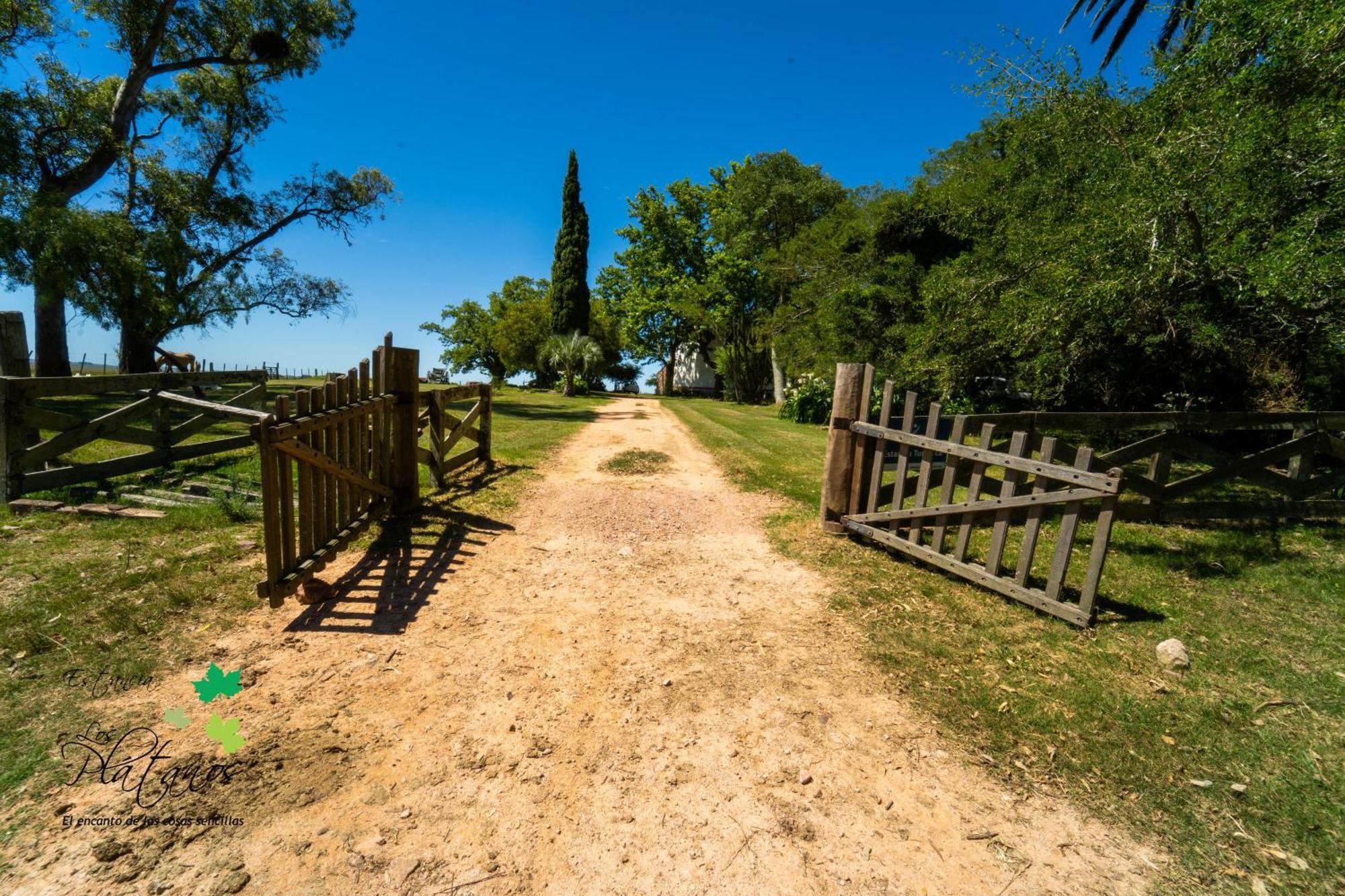 Estancia Los Platanos Valentines Kültér fotó